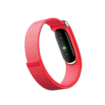 Google Fitbit Air “Berry”