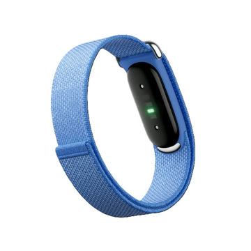 Google Fitbit Air “Lavender