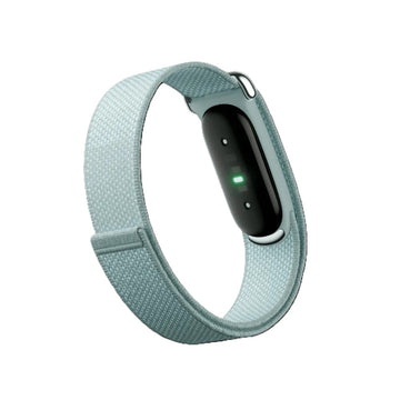 Google Fitbit Air “Fog”