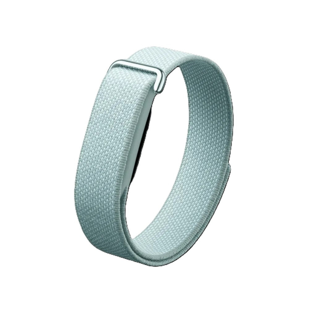 Google Fitbit Air “Fog”