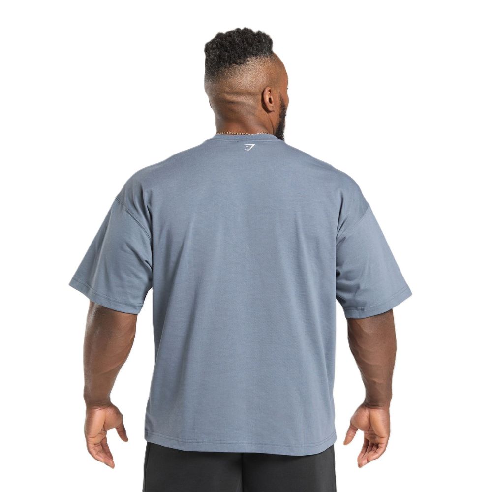 Gymshark Doberman Graphic T-Shirt – Iron Blue